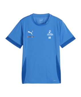 PUMA teamGOAL Matchday Trikot Kids Blau Weiss F02