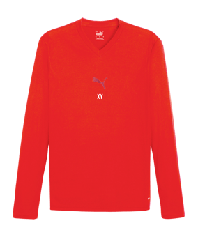 PUMA teamGOAL Baselayer Longsleeve Rot F01
