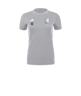 adidas Tabela 23 Trikot Damen Grau Weiss
