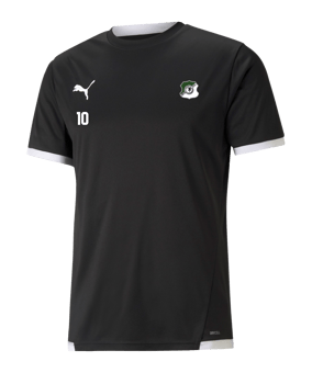 PUMA teamLIGA Trikot Schwarz F03