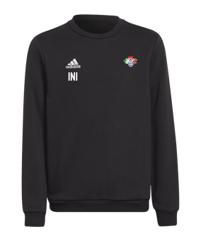 adidas Entrada 22 Sweatshirt Kids Schwarz