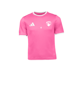 adidas Entrada 26 Maillot Enfants Rose 