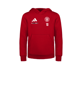 adidas Entrada 26 Hoody Kids Rot