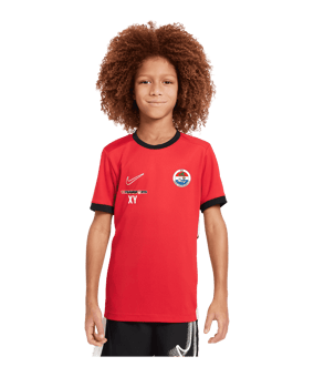 Nike Academy 25 Trainingsshirt Kids Rot F657