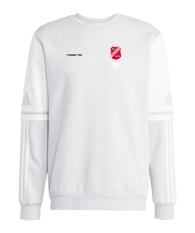 adidas Squadra 25 Sweatshirt Grau