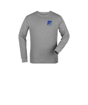 Merch Mini Changer 2.0 Sweatshirt Kids Heather Grey FC250