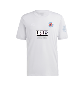 adidas Tabela 23 Trikot Grau Weiss