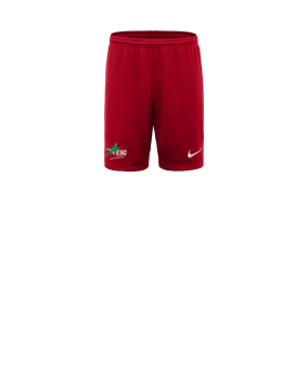 Nike Park III Court Enfants Rouge C657 
