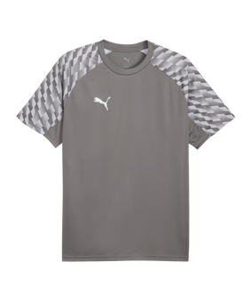 PUMA teamLIGA26 Trikot Grau F13 - grau