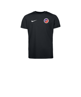 Nike Park VIII Trikot Kids Schwarz F010