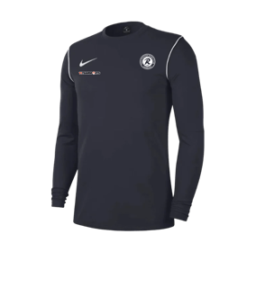 Nike Park 20 Sweatshirt Blau Weiss F451