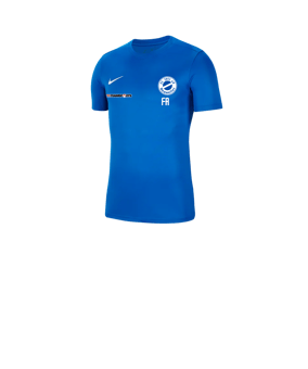 Nike Park VII Trikot kurzarm Kids Blau F463