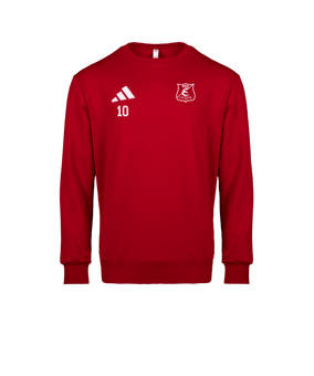adidas Entrada 26 Sweatshirt Rot