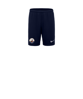 Nike Park III Court Enfants Bleu C410 
