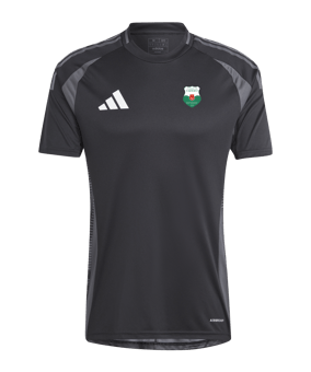 adidas Tiro 24 Competition Match Trikot Schwarz