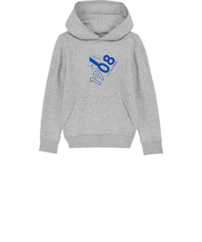 Merch Mini Cruiser 2.0 Hoody Kids H. Grey FC250