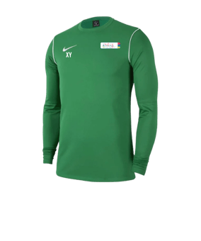 Nike Park 20 Sweatshirt Grün Weiss F302