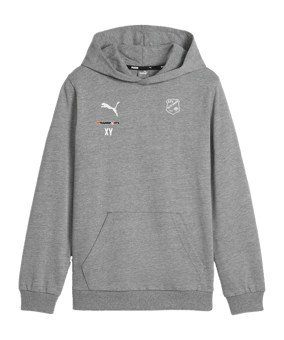 PUMA teamGOAL Casuals Hoody Kids Grau F33