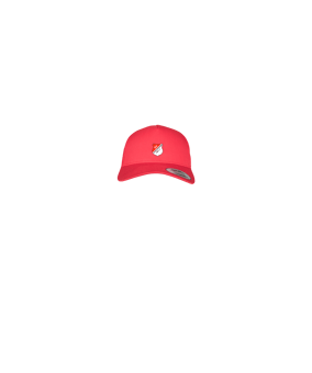 Merch 5 Panel Retro Trucker Cap Red