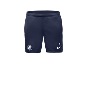 Nike Park 26 Court Femmes Bleu C410