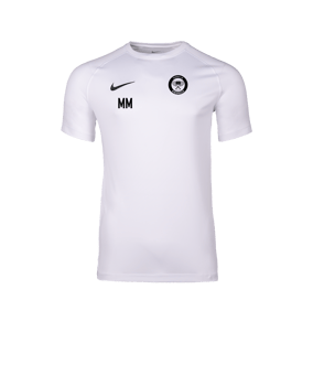 Nike Park VIII Trikot Weiß F100