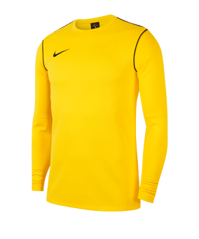 Nike Park 20 Sweatshirt Kids Gelb F719 - gelb