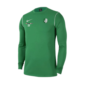 Nike Park 20 Sweatshirt Grün Weiss F302