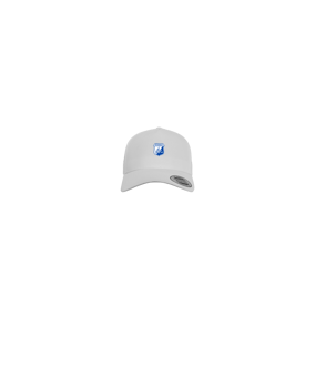 Merch 5 Panel Curved Cap Weiß
