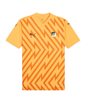 PUMA teamGLORY Trikot Orange Schwarz F61