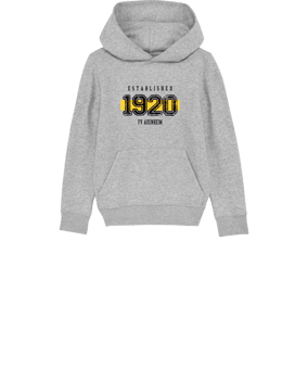 Merch Mini Cruiser 2.0 Hoody Kids H. Grey  | #established