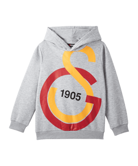 Galatasaray Istanbul Big Logo Sweatshirt Kids Grau - grau