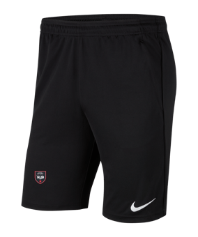 Nike Park 20 Knit Short Schwarz Weiss F010
