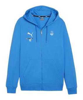 PUMA teamGOAL Casuals Kapuzenjacke Blau F02