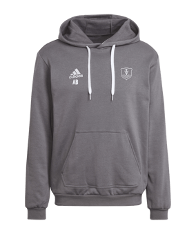 adidas Entrada 22 Hoody Grau