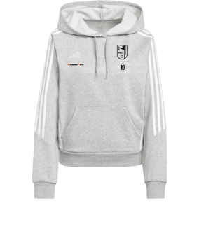 adidas Tiro 24 Hoody Damen Grau Weiss