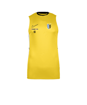 Nike Academy 25 Tanktop Gelb F719