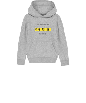 Merch Mini Cruiser 2.0 Hoody Kids H. Grey | #established