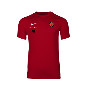 Nike Park VIII Trikot Rot F657