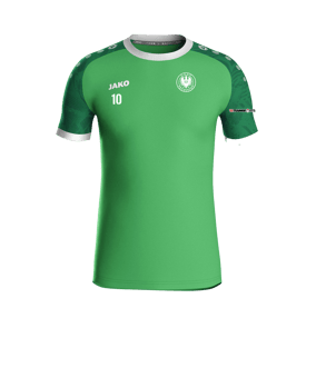 JAKO Iconic Trikot Grün F222