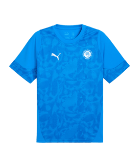 PUMA teamCUP Trikot Blau F002