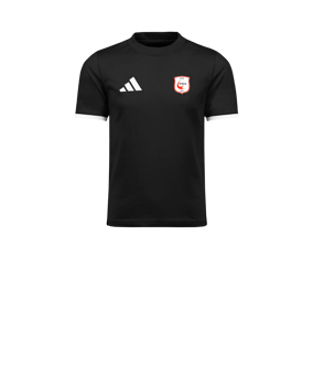 adidas Entrada 26 T-Shirt Enfants Noir 