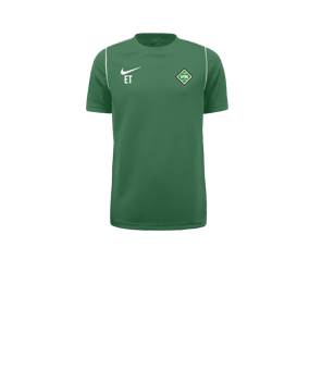 Nike Park 20 T-Shirt Kids Grün F302