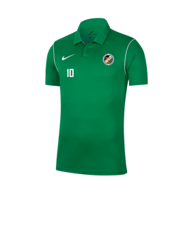Nike Park 20 Poloshirt Grün F302
