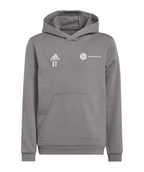 adidas Entrada 22 Hoody Kids Grau
