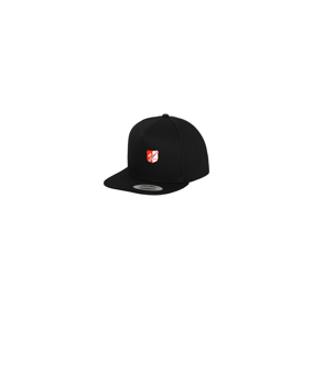 Merch 5 Panel Classic Snapback Cap Black Black | #logo4c