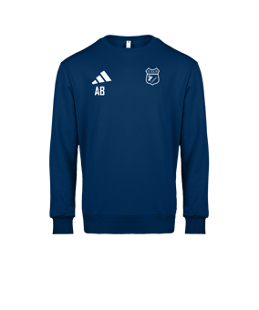 adidas Entrada 26 Sweatshirt Blau