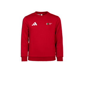 adidas Entrada 26 Sweatshirt Kids Rot