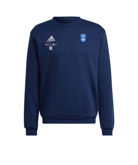 adidas Entrada 22 Sweatshirt Blau
