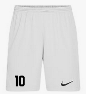 Nike Park III Short Weiss F100