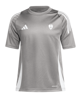 adidas Tiro 24 Trikot Kids Grau Weiss